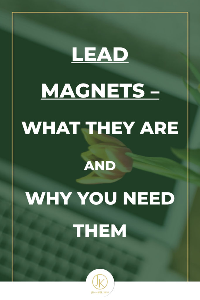 Lead Magnets – What They Are And Why You Need One.001